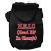 Head Elf In Charge Screen Print Pet Hoodies