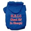 Head Elf In Charge Screen Print Pet Hoodies