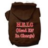 Head Elf In Charge Screen Print Pet Hoodies