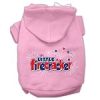 Little Firecracker Screen Print Pet Hoodies