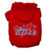 Little Firecracker Screen Print Pet Hoodies