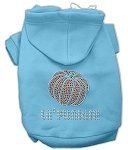 Lil' Punkin' Hoodies (Color/Size: Baby Blue XXL)