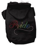 Rainbow Colored Pride Hoodies (Color/Size: Black M)