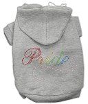 Rainbow Colored Pride Hoodies (Color/Size: Grey L)