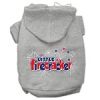 Little Firecracker Screen Print Pet Hoodies