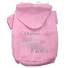 Screenprint Santa Paws Pet Hoodies
